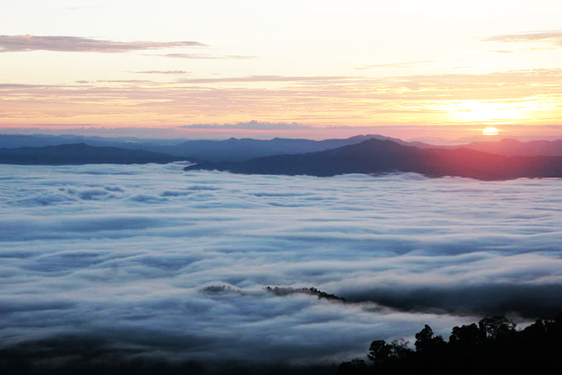 ดอยแม่จอก อุทยานแห่งชาติขุนสถาน จ.น่าน- เช่ารถเชียงใหม่ ท่องเที่ยว