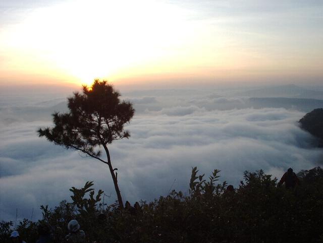 ยอดภูเรือ อุทยานแห่งชาติภูเรือ จ.เลย- เช่ารถเชียงใหม่ ท่องเที่ยว