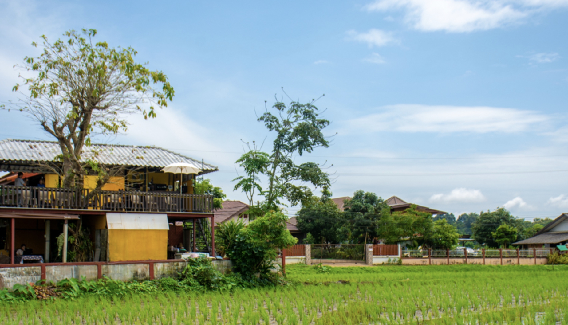 ร้อยร้านวิว ( 100 RAN View ) เชียงราย- ร้านรถเช่า เชียงใหม่