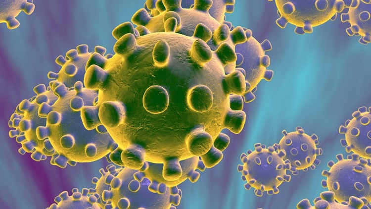 ไวรัสโคโรน่า ‘สายพันธุ์ใหม่’ คืออะไร- รถเช่าเชียงใหม่